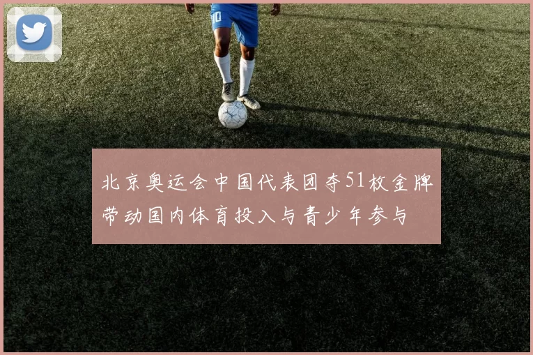 北京奥运会中国代表团夺51枚金牌带动国内体育投入与青少年参与