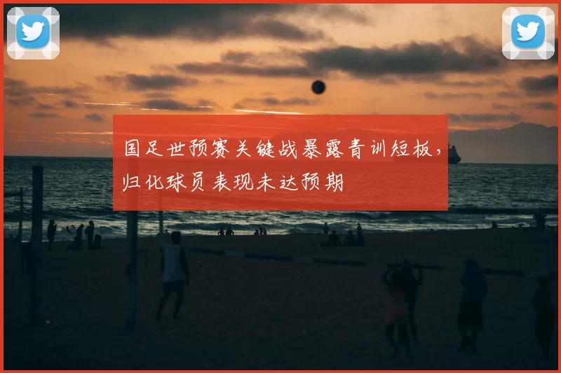 国足世预赛关键战暴露青训短板，归化球员表现未达预期