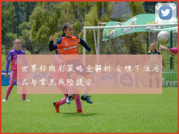 世界杯购彩策略全解析 合理下注方式与常见风险提示